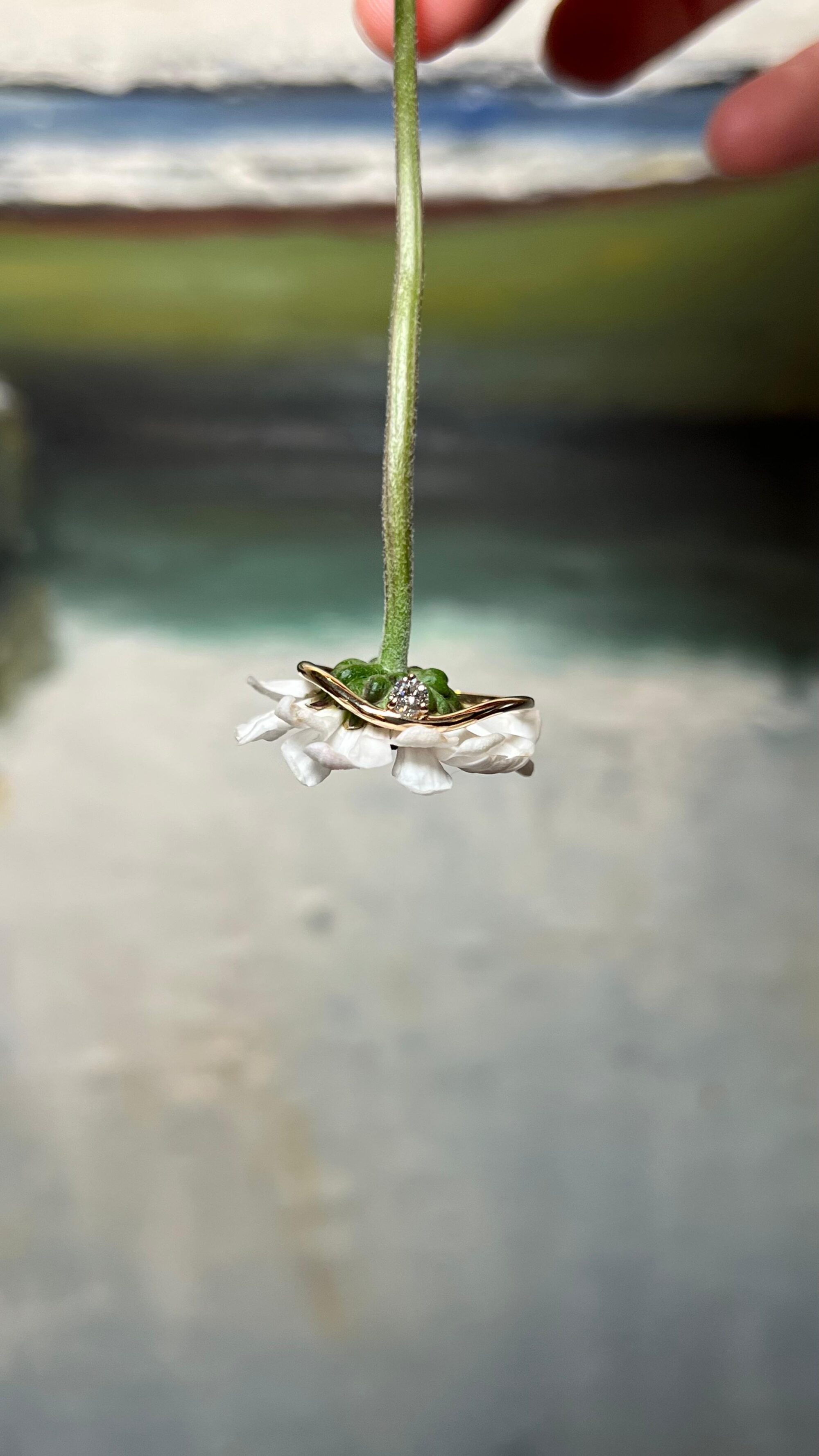 80a906b5-994d-4528-83c9-5c92a4346803